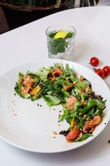 Summer light salad with fresh salmon. Light breakfast lunch for the summer with salted red fish
