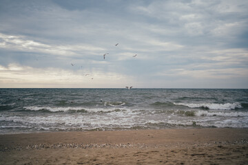 seashore with waves and seagulls and gray clouds