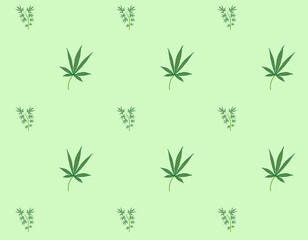 pattern background, of cannabis leaves
