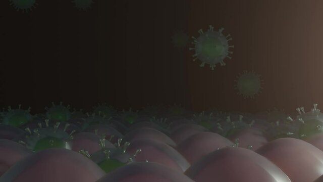 Deadly coronavirus or flu virus particles being absorbed by lungs. Severe viral lung infection animation.