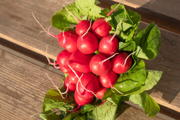 Bunch of radishes on wooden background