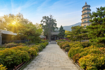 In autumn, ancient building lofts and ginkgo trees are in Jinci Park, Taiyuan, Shanxi, China