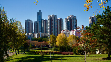 Obraz premium Autumn landscape in front of tall buildings.