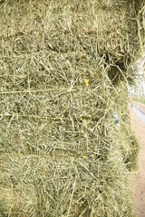 alfalfa, baled alfalfa, livestock silage, livestock fodder, 