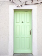 Obraz na płótnie Canvas Green door