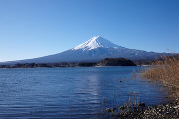 河口湖から望む富士山