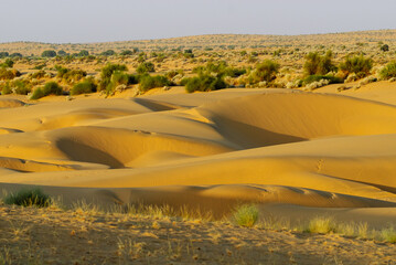 Thar desert near Jaisalmer, India © salparadis
