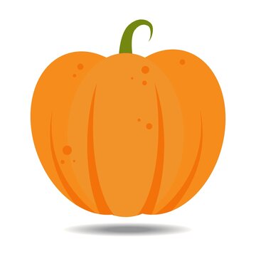 orange pumpkin with flat style design vector illustration, isolated on white background. Halloween autumn, pumpkin thanksgiving day, fresh and delicious vegetable graphics.