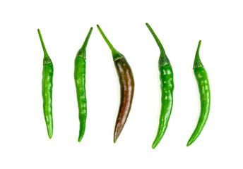 red green chili pepper isolated on white background