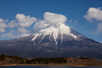 Fototapeta premium 田貫湖からの富士山