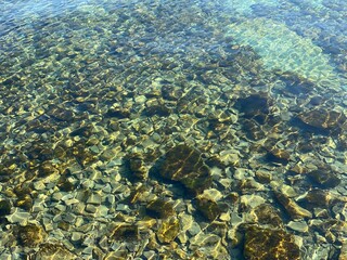 coral reef in the sea