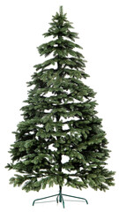 Very beautiful New Year's photo session with a Christmas tree