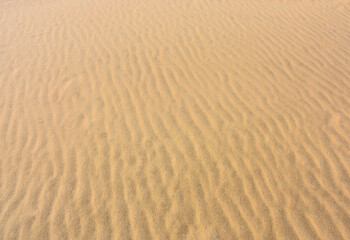 Sand Background