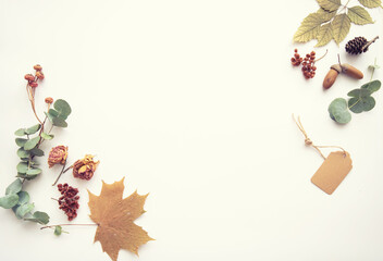 Autumn vintage composition. Frame made of autumn dried leaves, acorn, pine cone, dry berries on a pastel background. Toned image. Flat lay, top view, copy space.