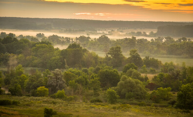 Aerial view Sunrise of meadow with forest in sunlight and mist