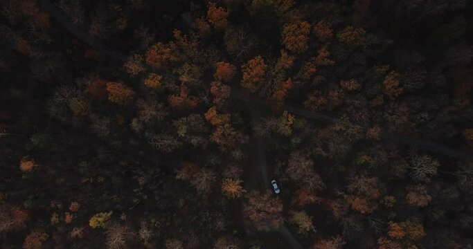 Th&uuml;ringen - Bismarckturm Jena im Herbst - Drohnenaufnahme