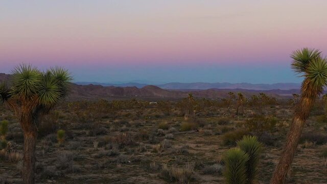 Sunset in Joshua Tree - beautiful colours and sillhoetted cactus