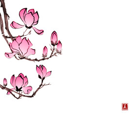 Pink magnolia flowers in oriental style on white background. Traditional oriental ink painting sumi-e, u-sin, go-hua. Translation of hieroglyph - beauty