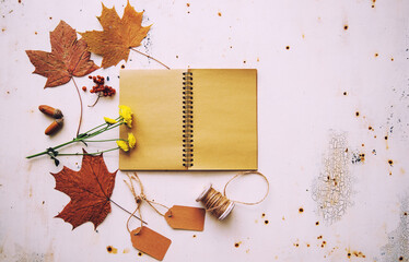 Autumn vintage composition. Old vintage notebook with autumn dried leaves, acorn, pine cone, dry berries on a pastel shabby rustic background. Flat lay, top view, copy space.