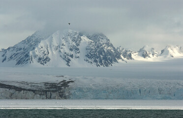 Drift ice at the sea around Spitsbergen © AGAMI