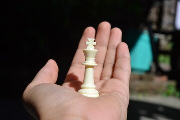 Chess piece and human hand.