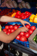 A salesman girl in a yellow T-shirt and an apron sells fruits and vegetables. Looks at the quality of the item. Holds tomatoes in his hands.
