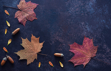 Autumn flowers and leaves composition with copy space. Frame made of autumn dried leaves on dark background. Flat lay, top view. Toned image.