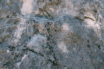 The texture of a large stone, part of a rock on a sunny day. Close-up. Macro