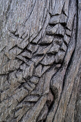 wooden board with rough carving