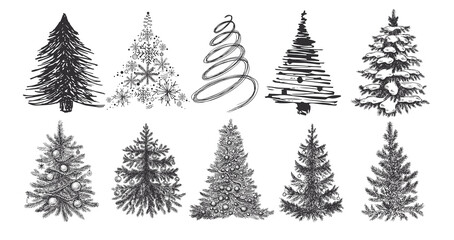 Fototapeta premium Christmas tree hand drawn illustration. Vector. 