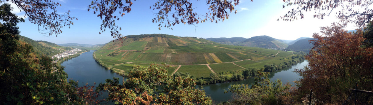 Moselle river at Briedel, Germany