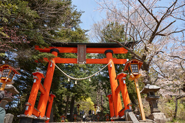 新倉山浅間神社の大鳥居