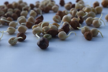 sprouted pea and Gram seeds in white background.