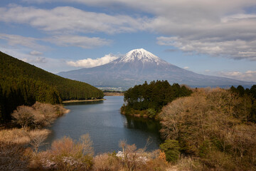 Naklejka na ściany i meble 田貫湖からの富士山
