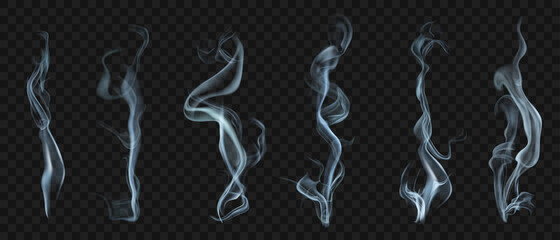 Fototapeta Set of several realistic transparent smoke or steam in white and gray colors, for use on dark background. Transparency only in vector format obraz