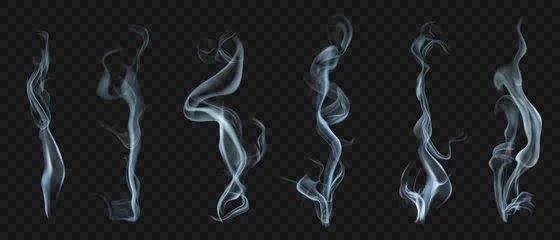 Fotobehang Set of several realistic transparent smoke or steam in white and gray colors, for use on dark background. Transparency only in vector format © Olga Moonlight