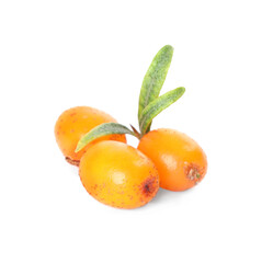 Fresh ripe sea buckthorn berries with leaves on white background