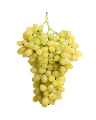 Bunch of fresh ripe juicy grapes isolated on white