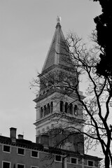 Venice, Italy, December 28, 2018 evocative image of a church steeple seen among the branches of a tree
