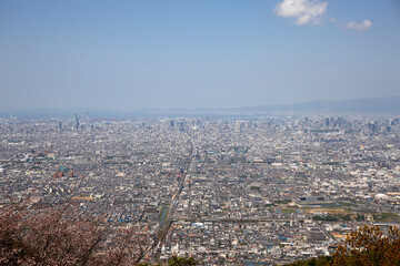 シーサイドももちの夜景 Wall Mural Wallpaper Murals Paylessimages