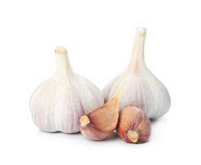 Fresh organic garlic bulbs and cloves on white background