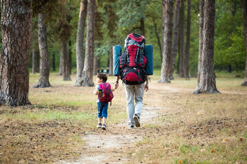 Father and son backpacking in forest holding hands
