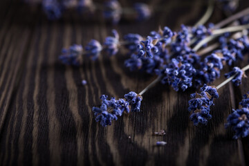 Dry lavender sprigs on wooden background,