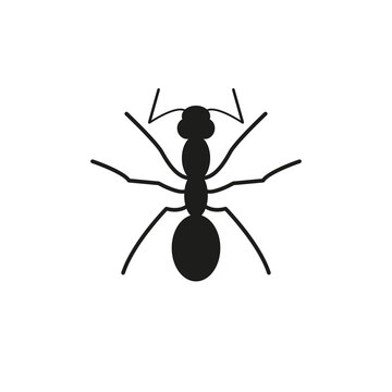 Icon of an ant. Simple vector illustration on a white background