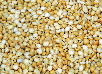 Background of many dried yellow split peas close-up.