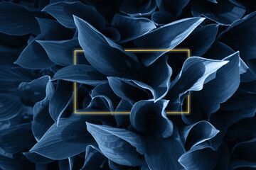 Abstract blue leaves texture background with gold frame