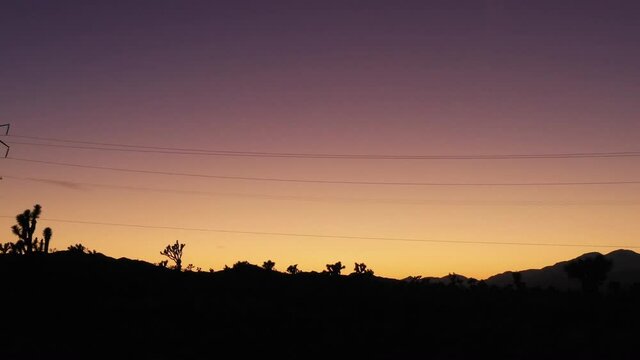 Sunset in Joshua Tree - beautiful colours and sillhoetted cactus
