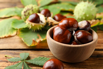 Horse chestnuts and leaves on wooden table