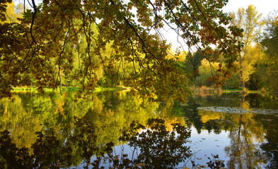 Scenic autumn scene outdoor with colorful trees sourrounding a lake