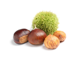 Fresh sweet edible chestnuts on white background